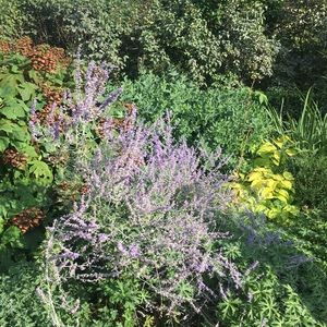 Meet your Posher, Jeremy